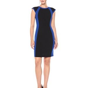 Amazon Brand - Lark & Ro Women's Cap Sleeve Colorblocked Sheath Dress